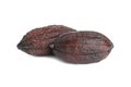 Whole tropical cocoa pods isolated