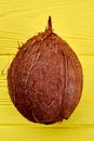 Whole tropical coconut fruit.