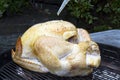 Whole Turkey on the Grill Royalty Free Stock Photo
