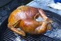 Whole Turkey Roasting on Grill Royalty Free Stock Photo