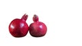 Whole two red pomegranates isolated on white background. Garnet is a symbol of Judaism, fertility and abundance Royalty Free Stock Photo