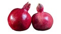 Whole two red pomegranates isolated on white background. Garnet is a symbol of Judaism, fertility and abundance. Royalty Free Stock Photo