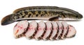 Freshly Sliced Snakehead Fish on White Background Royalty Free Stock Photo