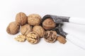 Whole unpeeled and broken walnuts on a white background. Royalty Free Stock Photo