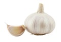 Whole garlic bulb and clove on white background Royalty Free Stock Photo