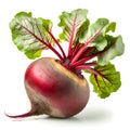 Whole vertical beet root with leaves isolated