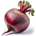 Whole vertical beet root with leaves isolated