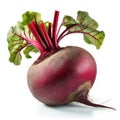 Whole vertical beet root with leaves isolated