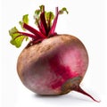 Whole vertical beet root with leaves isolated