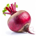 Whole vertical beet root with leaves isolated