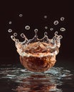 A whole walnut splashing into clear liquid creating a crown shape and droplets Royalty Free Stock Photo
