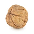 Whole walnut isolated on white background Royalty Free Stock Photo