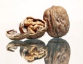 Whole walnut and walnut kernel