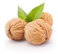 Whole walnut with leafs isolated on white background Royalty Free Stock Photo