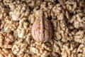 Whole walnut nut on heap of walnut kernels close up