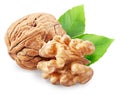 Whole walnut and peeled walnut half isolated on white background, maximum sharpness of stacking photography method, clipping path Royalty Free Stock Photo