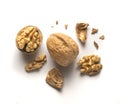 Whole walnut plus open walnut with scattered shell parts on white background Royalty Free Stock Photo