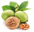 Whole walnut and walnut kernel with leaves isolated on white background Royalty Free Stock Photo