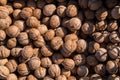 Whole walnuts background Royalty Free Stock Photo