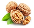 Whole walnuts, broken walnut with kernel and green leaves isolated on white background. Clipping path Royalty Free Stock Photo