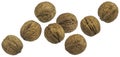 Whole walnuts isolated on white background, package design element Royalty Free Stock Photo