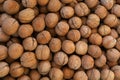 Whole walnuts in nutshells close up Royalty Free Stock Photo