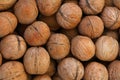 Whole walnuts in nutshells close up Royalty Free Stock Photo