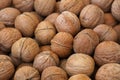 Whole walnuts in nutshells close up Royalty Free Stock Photo