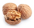 Whole walnuts and peeled walnut half isolated on white background, maximum sharpness of stacking photography method, clipping path Royalty Free Stock Photo