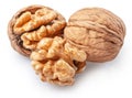 Whole walnuts and peeled walnut half isolated on white background, maximum sharpness of stacking photography method, clipping path Royalty Free Stock Photo