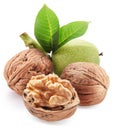 Whole walnuts and peeled walnut half with leaves with young green walnut isolated on white background Royalty Free Stock Photo