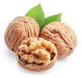 Whole walnuts and peeled walnut half with walnut leaves isolated on white background Royalty Free Stock Photo