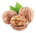 Whole walnuts and peeled walnut half with walnut leaves isolated on white background Royalty Free Stock Photo
