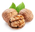 Whole walnuts and peeled walnut half with walnut leaves isolated on white background Royalty Free Stock Photo