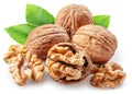 Whole walnuts and peeled walnut half with walnut leaves isolated on white background Royalty Free Stock Photo