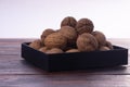 Whole walnuts on wooden table, side view on white background. Healthy nuts and seeds composition. Royalty Free Stock Photo