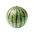Whole Watermelon. Fresh Summer Fruit And Hydration Source. Isolated On Transparent Background Royalty Free Stock Photo