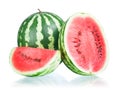 Whole watermelon, half and slice Royalty Free Stock Photo