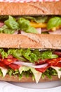 Whole Wheat Baguette Sandwiches Royalty Free Stock Photo