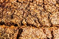 Whole wheat bread with different seeds. Royalty Free Stock Photo