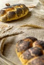 Whole wheat bread. Fresh loaf of rustic traditional bread with poppy seeds, wheat grain ear on linen texture background. Rye Royalty Free Stock Photo