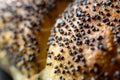 Whole wheat bread. Fresh loaf of rustic traditional bread with wheat poppy seeds in pattern of macro photography. Rye bakery with Royalty Free Stock Photo