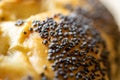 Whole wheat bread. Fresh loaf of rustic traditional bread with wheat poppy seeds in pattern of macro photography. Rye bakery with Royalty Free Stock Photo