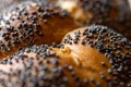 Whole wheat bread. Fresh loaf of rustic traditional bread with wheat poppy seeds in pattern of macro photography. Rye bakery with Royalty Free Stock Photo