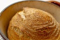 Whole wheat bread loaf baked in dutch oven iron cast pot, pure levain Royalty Free Stock Photo