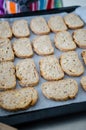 Whole wheat bread slices Royalty Free Stock Photo