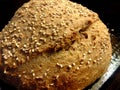 Whole wheat bread Royalty Free Stock Photo
