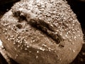 whole wheat bread Royalty Free Stock Photo