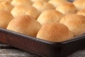 Whole Wheat Dinner Rolls on barn table Royalty Free Stock Photo