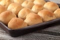 Whole Wheat Dinner Rolls side view Royalty Free Stock Photo
